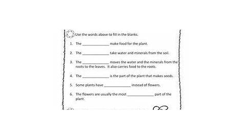 Plant Worksheets For 2nd Grade