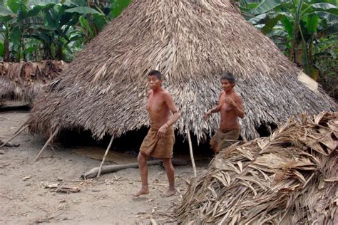 Mercury Poisoning Chief Among Health Problems Facing Perus Uncontacted