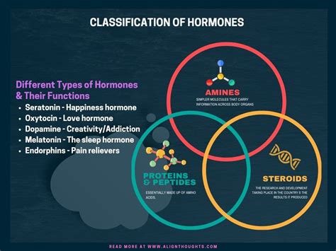 Female Hormone Types