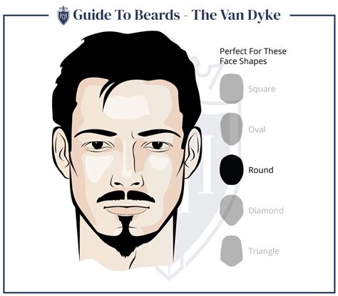10 facial hair styles every man should know protechnotech