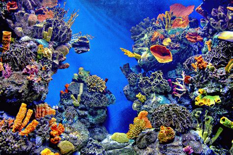 The good example in malaysia is air asia. Malaysian state establishes Blue Ocean think tank ...