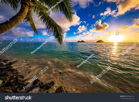 Beautiful Lanikai Kailua Sunrise Hawaii Stock Photo 557636194