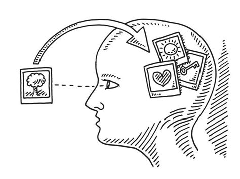 A Line Drawing Of A Woman S Head With Pictures On The Side And An Arrow