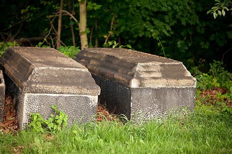 Concrete Casket Stock Photos Pictures And Royalty Free Images Istock