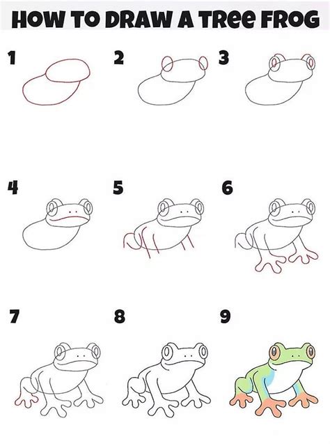 How To Draw A Tree Frog Step By Step Drawing Photos