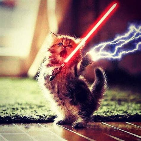 Cat Sith And His Red Lightsaber Cold Days Spoilers Rdresdenfiles