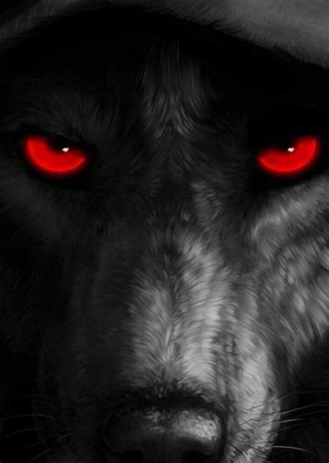 Pin By Maria Garcia On Letras E Imagenes Wolf Eyes Wolf Pictures