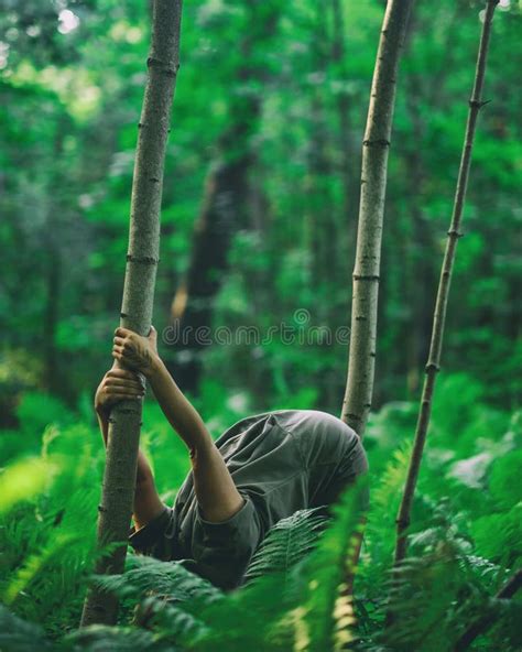 Woman Doing Yoga In Forest Bending Stock Image Everypixel
