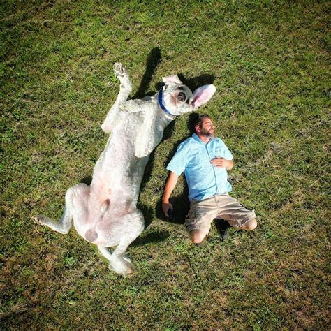 Meet Photographer Christopher Cline From Minnesota And His Giant Dog Juji