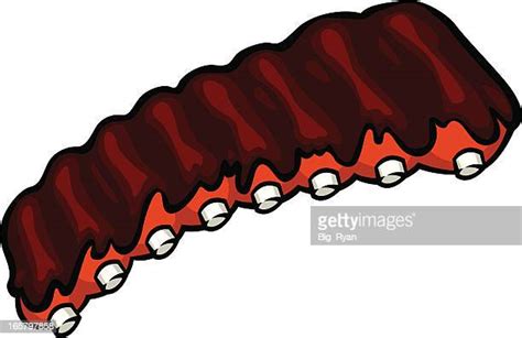 Rib High Res Illustrations Getty Images