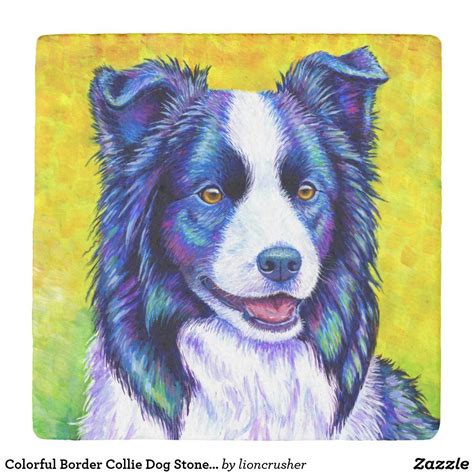 Colorful Border Collie Dog Stone Coaster Collie Dog
