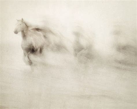 Nature Photography Abstract Horse Photograph White Horses Running
