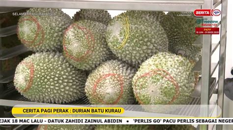 Download mp3 durian batu kurau dan video mp4 gratis. 19 JUN 2020 SPM - CERITA PAGI PERAK - DURIAN BATU KURAU ...