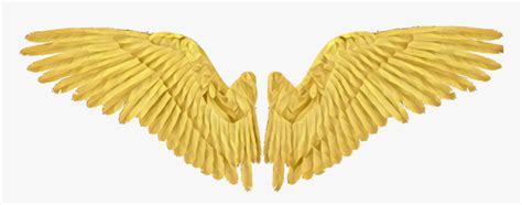 Gold Wing Wings Angel Angelwings Drawing Hd Png Download