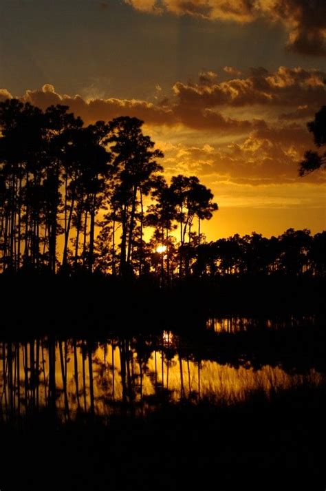 Everglades Sunset Florida 8x10 Photograph By Lostkatphoto On Etsy 20
