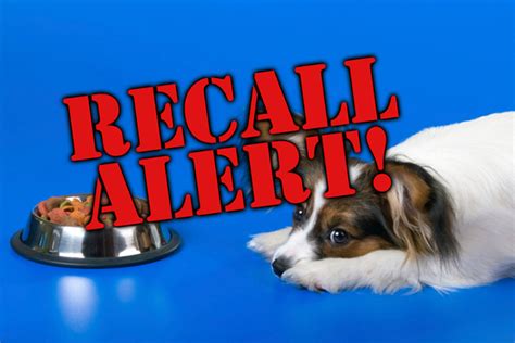 Vitamin d can be toxic to dogs at high. Party Animal Recalled More Canned Dog Food Due To ...
