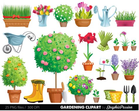 A Garden Plant Clipart Clipground