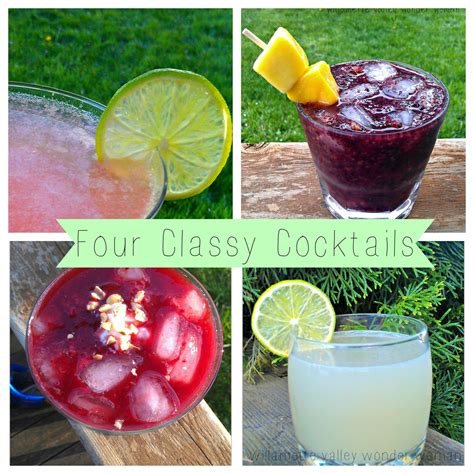 Four Classy Cocktails Melissa Kaylene