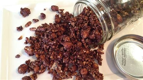 Chocolate Bird Seed Premium Pd Recipe Protective Diet
