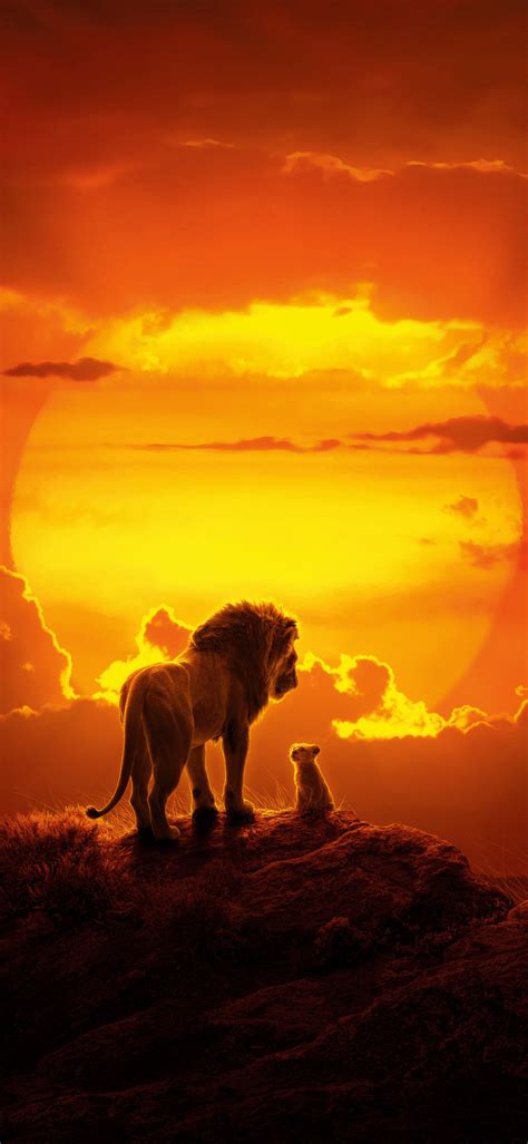 Lion King Iphone Background