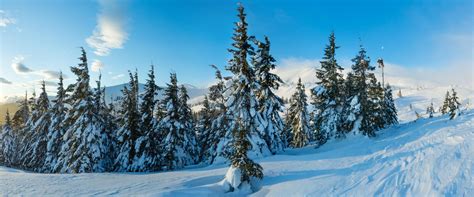 Morning Winter Mountain Landscape Carpathian Stock Image Image Of