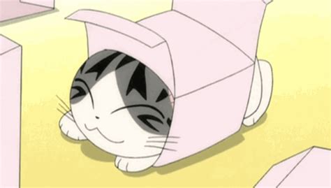 See more ideas about anime cat, cute drawings, kawaii drawings. PICTURES 15 Cute Anime Cats - Best Cats Character Anime ...
