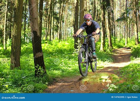 Cyclist In Forest Stock Image Image Of Bike Cycling 14763395