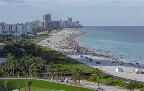 Swim with Dolphins near Miami Beach (800) 667-5524