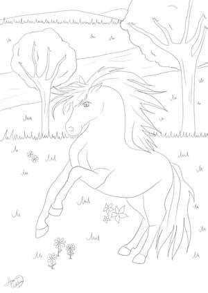 Print and color easter pdf coloring books from primarygames. Ausmalbilder Pferde - Kostenlose Malvorlagen zum Ausmalen