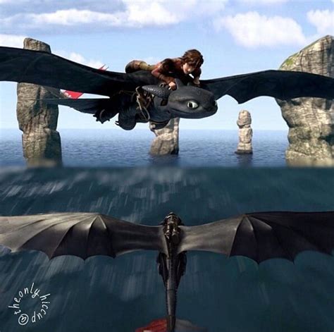 Hiccup And Toothless In Rtte And Httyd 2 Dragons Riders Of Berk