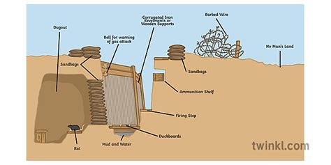 Cross Section Of A Trench History Wwi Diagram Secondary Illustration