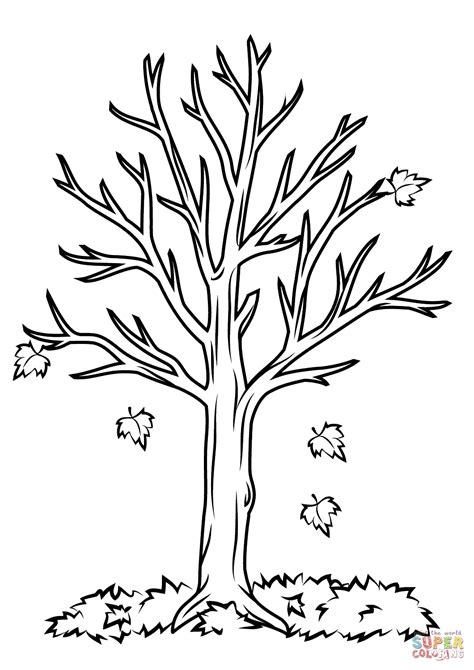 Fall Tree coloring page | Free Printable Coloring Pages