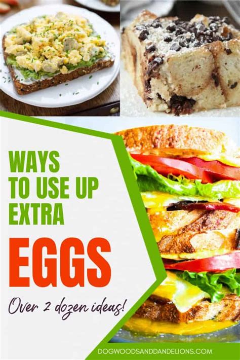 Well, while you might not be able to make an omelet, there's actually a whole lot you can make with a solo egg. Ways To Use Extra Eggs - Dogwoods & Dandelions