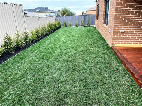 Tall Fescue Hg Turf