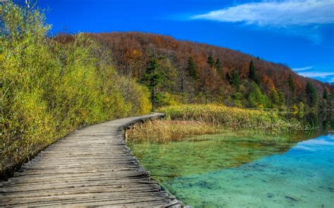 Croatia Lake Forests Bridges Plitvice Nature 413195