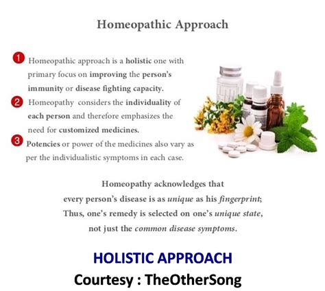 Homeopathy Holistic Approach Disease Fighting Capacity Improves