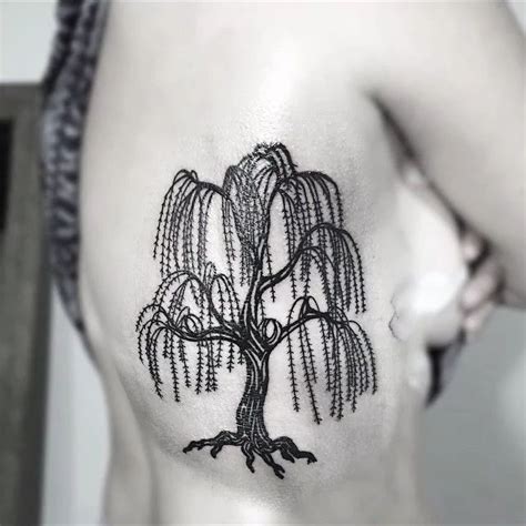 Image Result For Weeping Willow Tattoo Willow Tree Tattoos Tree