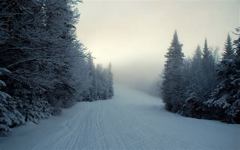 fondos de pantalla paisaje bosque invierno escarcha congelación árbol montaña clima