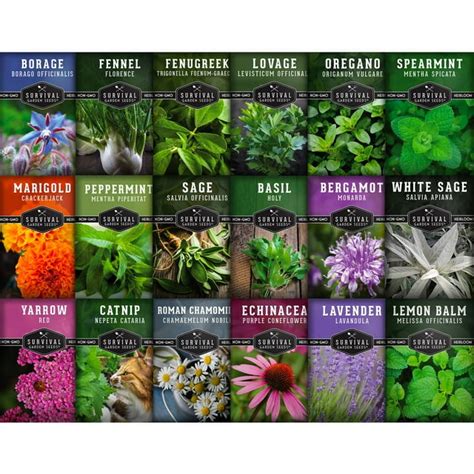 Survival Garden Seeds 18 Pack Medicinal Herb Collection Non Gmo