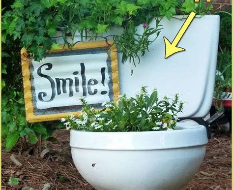 Housing for students from suny potsdam, clarkson university , st lawrence, and suny canton. 30+ brilliant ideas to reuse old toilet bowls | Toilet ...