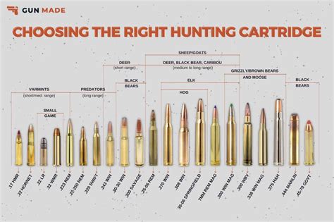 A Comprehensive Guide To Choosing The Right Caliber With A Rifle Caliber Chart Gun Made