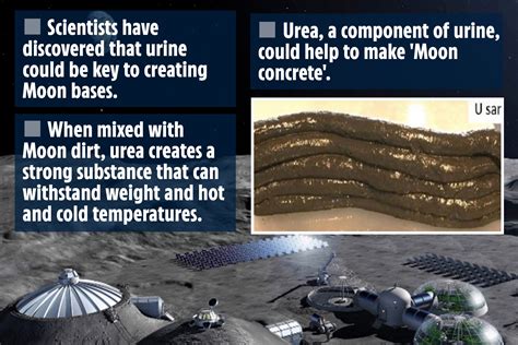 Nasa Astronauts Could Build Moon Base Using Their Own Pee And Lunar