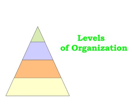 Levels Of Organization Version 2 For Vocab