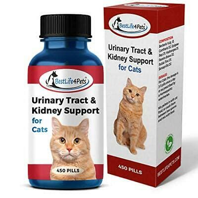 It will be several times first, please do not confuse blockage with a uti. Cat UTI Urinary Tract Infection Treatment - All Natural ...