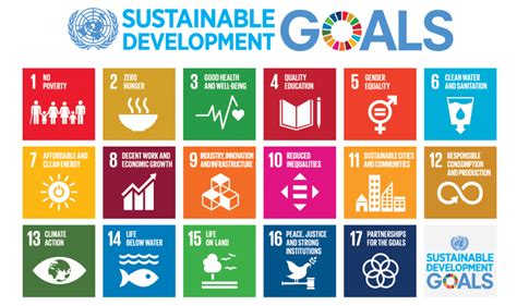 What are the united nations sustainable development goals? Sustainable Development Goals (SDGs) and Disability ...