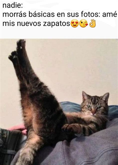 Top Memes De Gatos En Español Memedroid En 2020 Memes Divertidos
