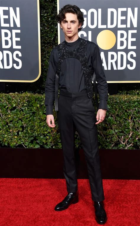Timothee Chalamet From 2019 Golden Globes Red Carpet Fashion E News