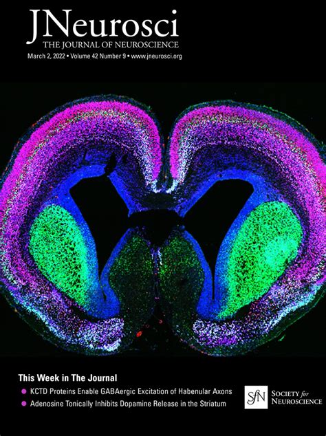 Journal Of Neuroscience Features Cchmc Research On Cover University