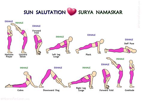 The 12 Steps Of Surya Namaskar Or Sun Salutation Yoga Etsy Basic