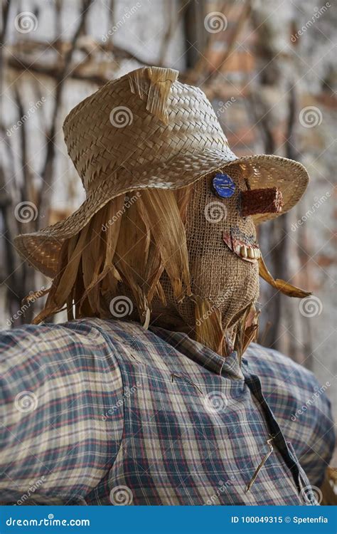 Funny Scarecrow In The Farm Stock Image Image Of Farmhouse Farmland